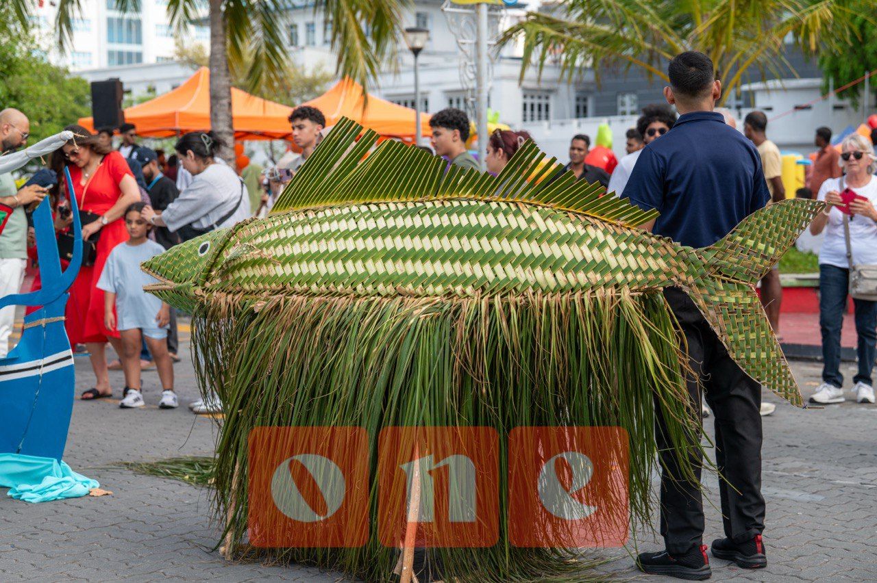 ވަން ފޮޓޯ: ތަފާތު ހަރަކާތްތަކަކާއެކު ބޭއްވި 