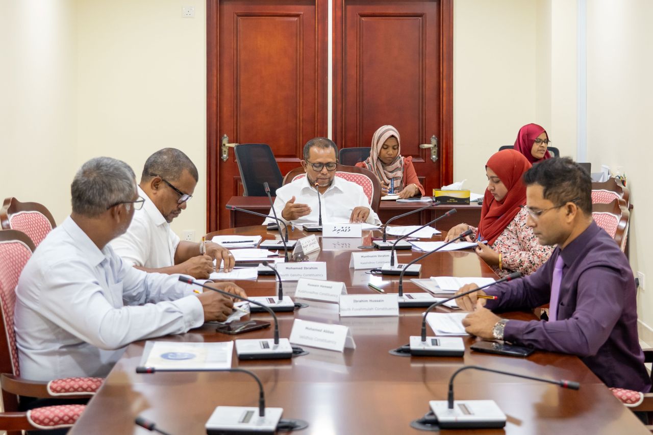 2007 in feshigen oiy jeelah dhunfaiy manaakuraa bill committee in faaskoffi