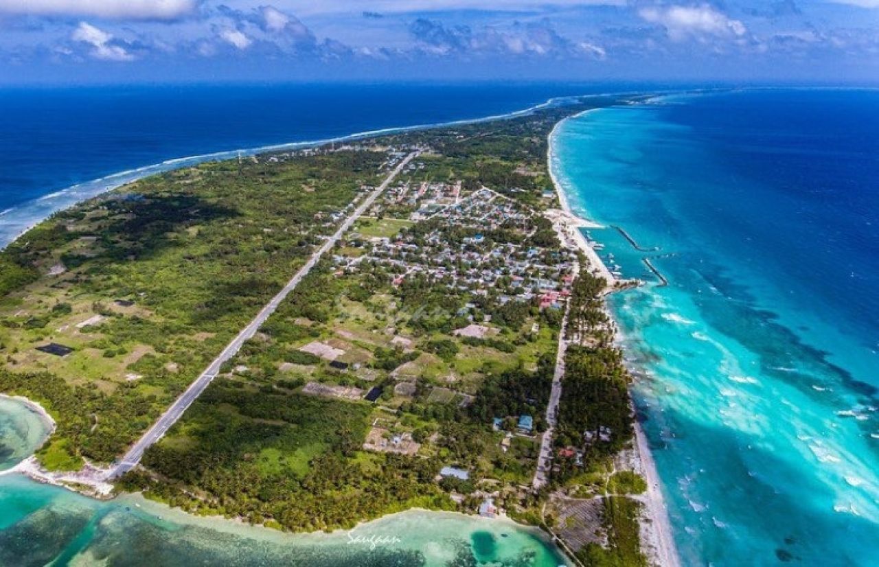 Gamugai maaraamaaree hingi bayaku hayyarukoffi