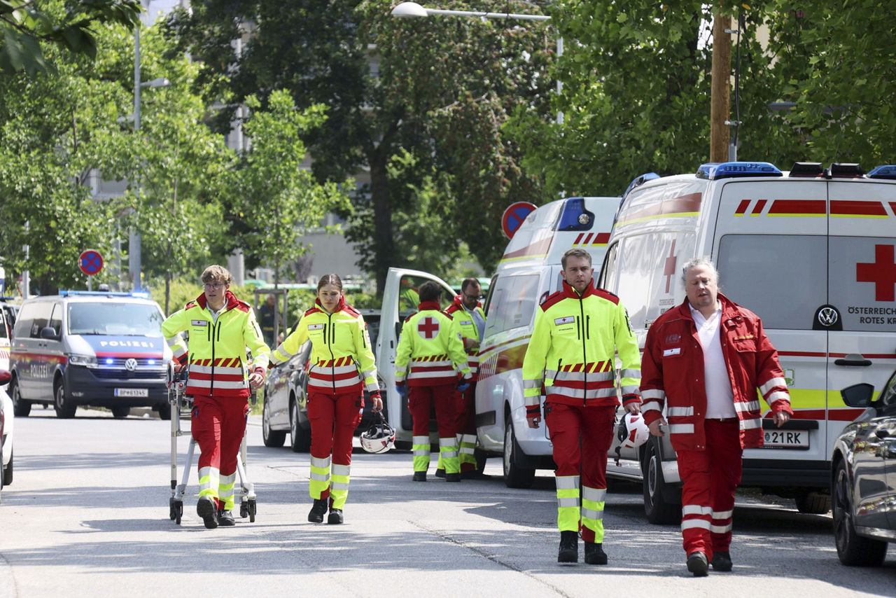Austria ge high school eh gai badin hamalaadhee 11 meehun maraalaifi