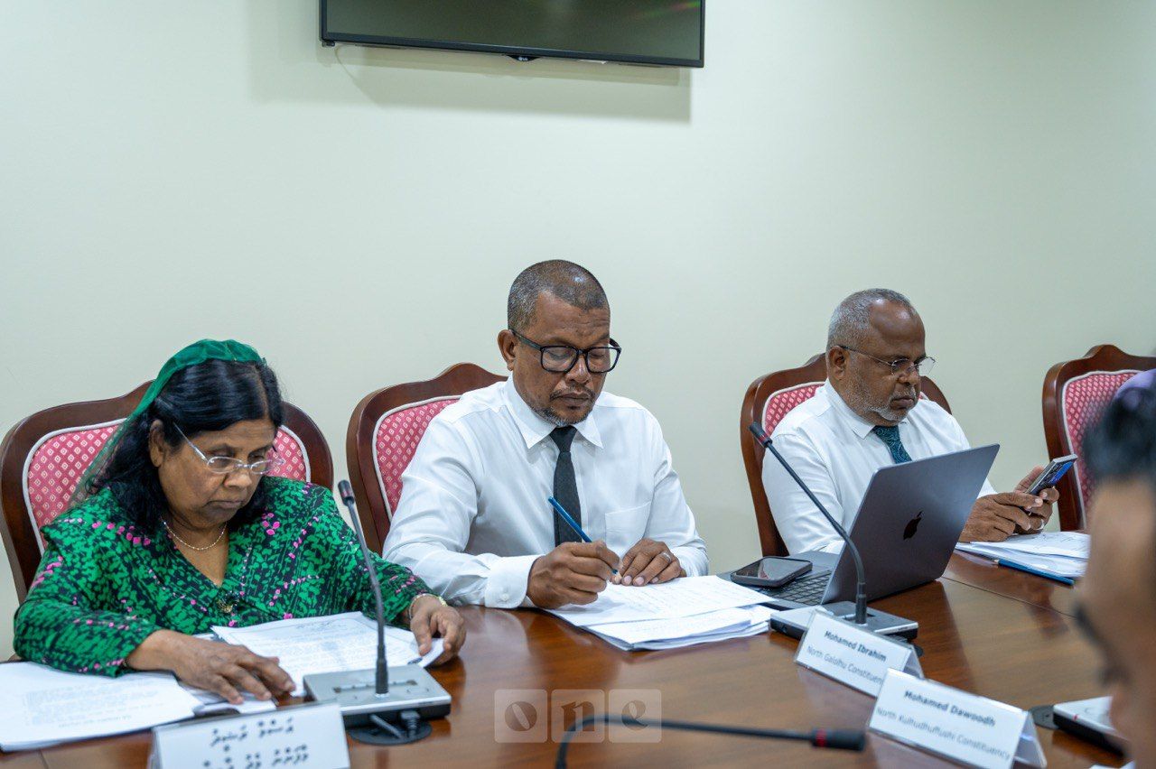 ވަން ފޮޓޯ: ގެދޮރުވެރިކަމުގެ ކޮމިޓީ