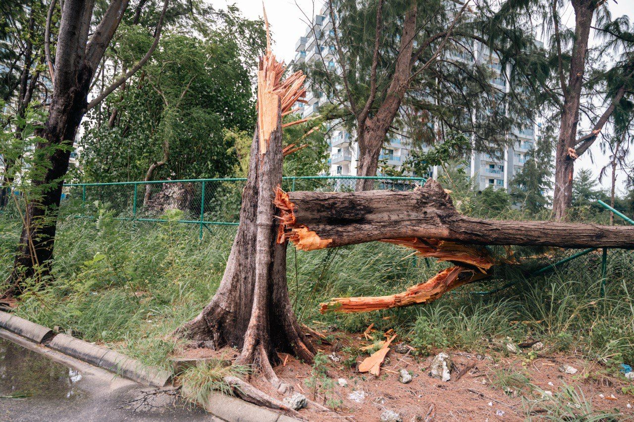 Hulhumalé suffers major damage due to storm