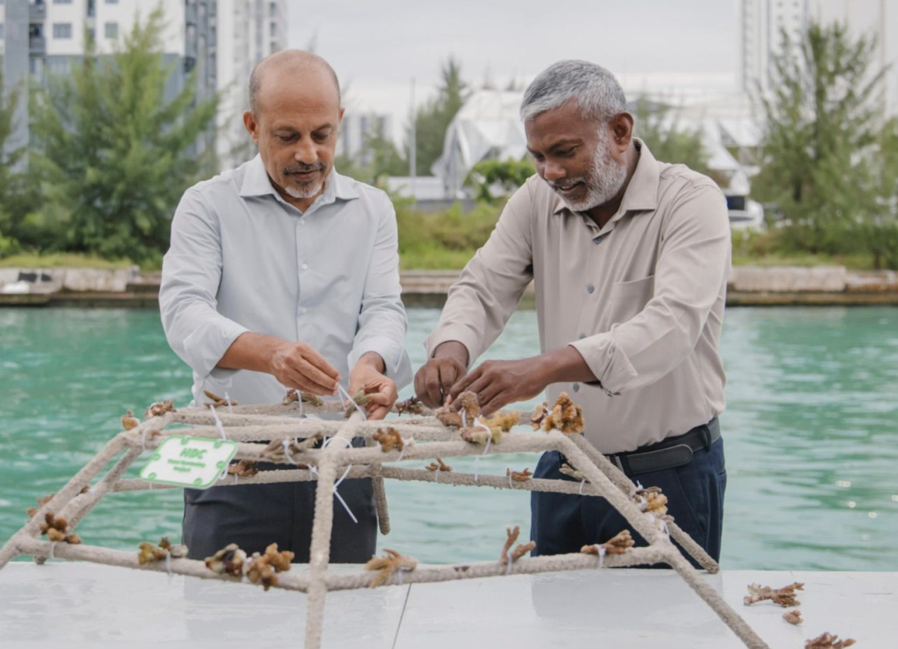 Hulhumale' gai muraka aalaakurumuge harakaatheh 