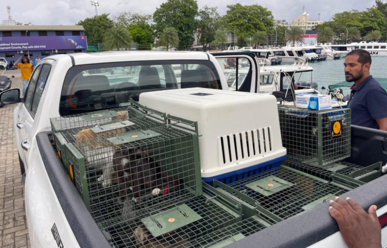 Bulhaa facility gai 110 ah vure gina bulhaa 