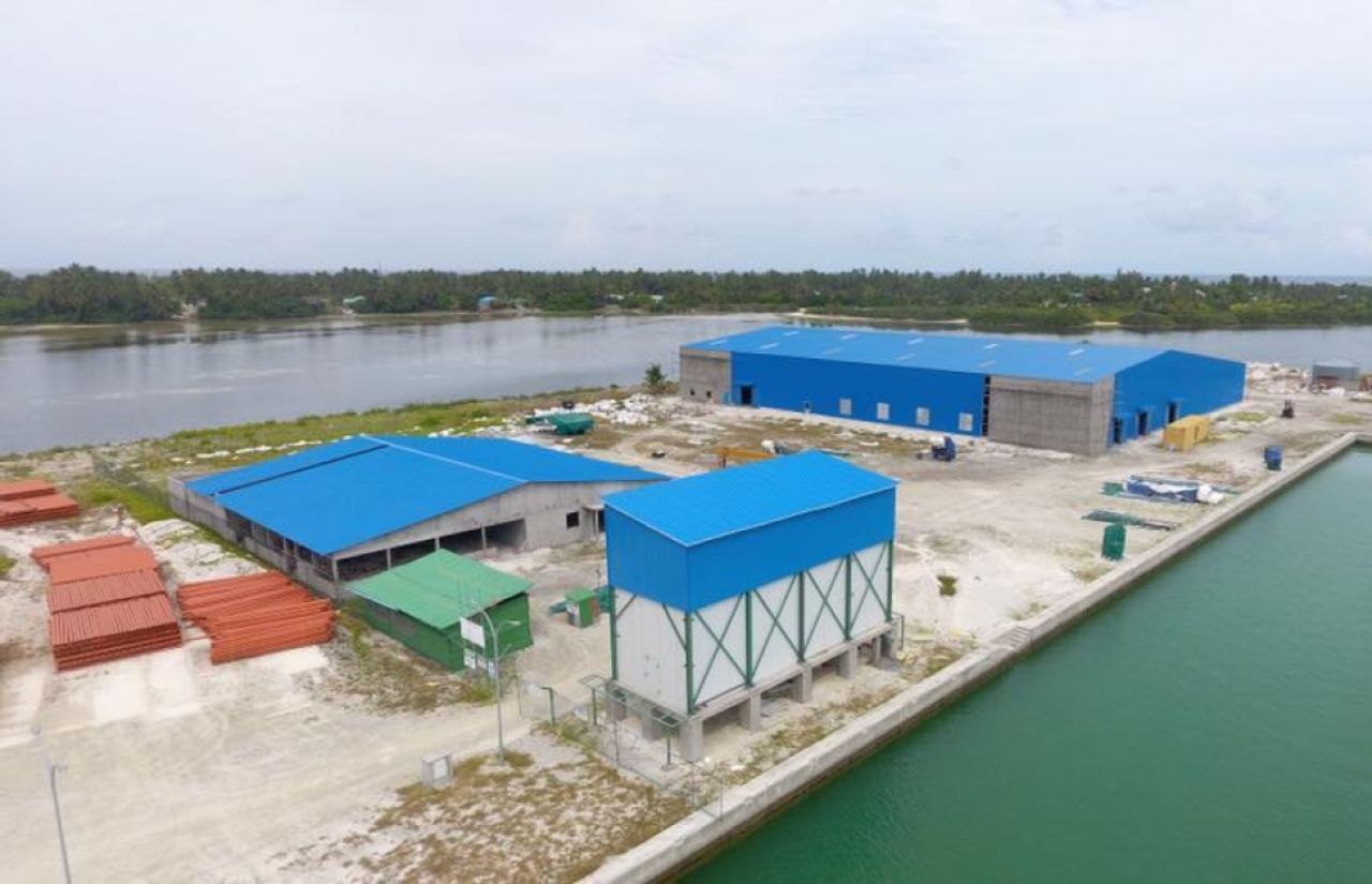 Addu in mas export kuran Mifco thayyaaru vanee