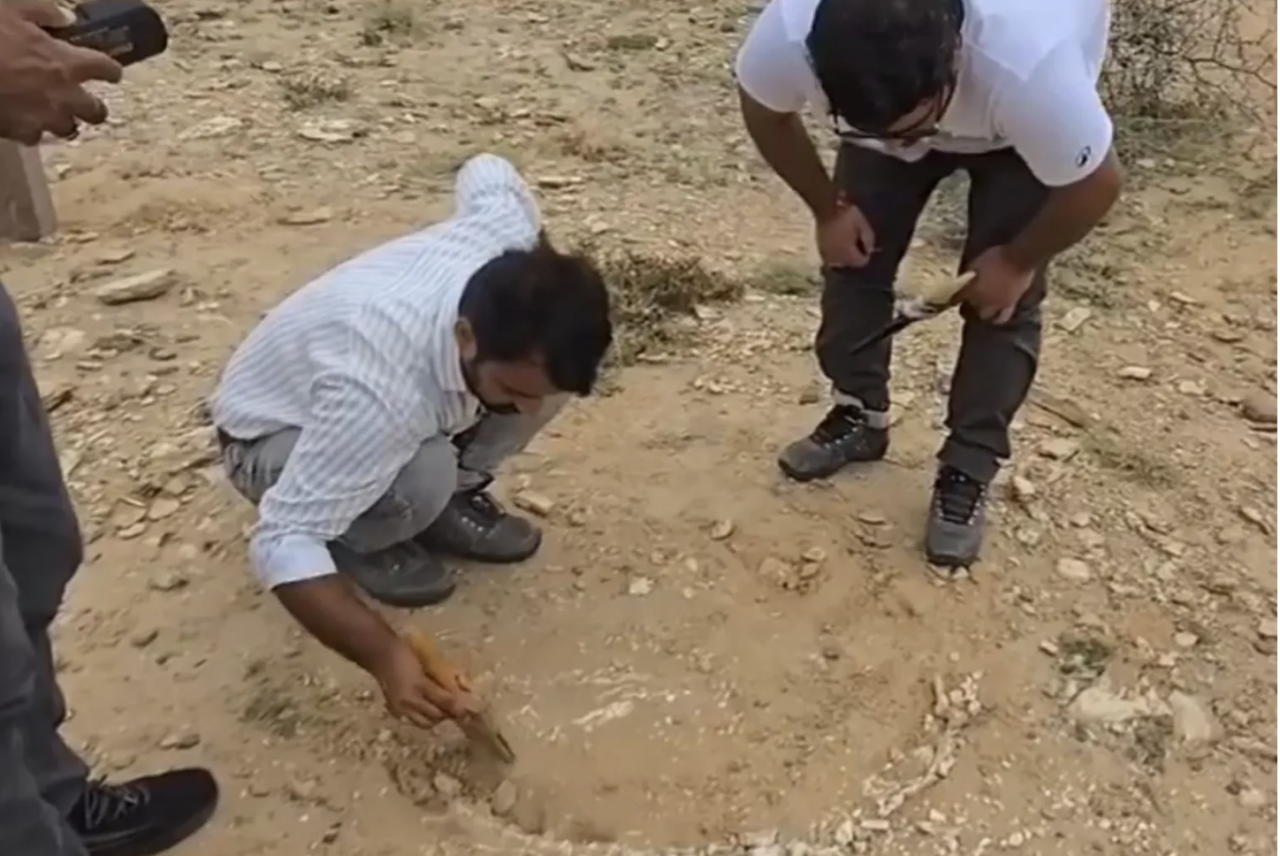 India ge avashakun dinosaur zamaanuge kashithakeh fenihjje