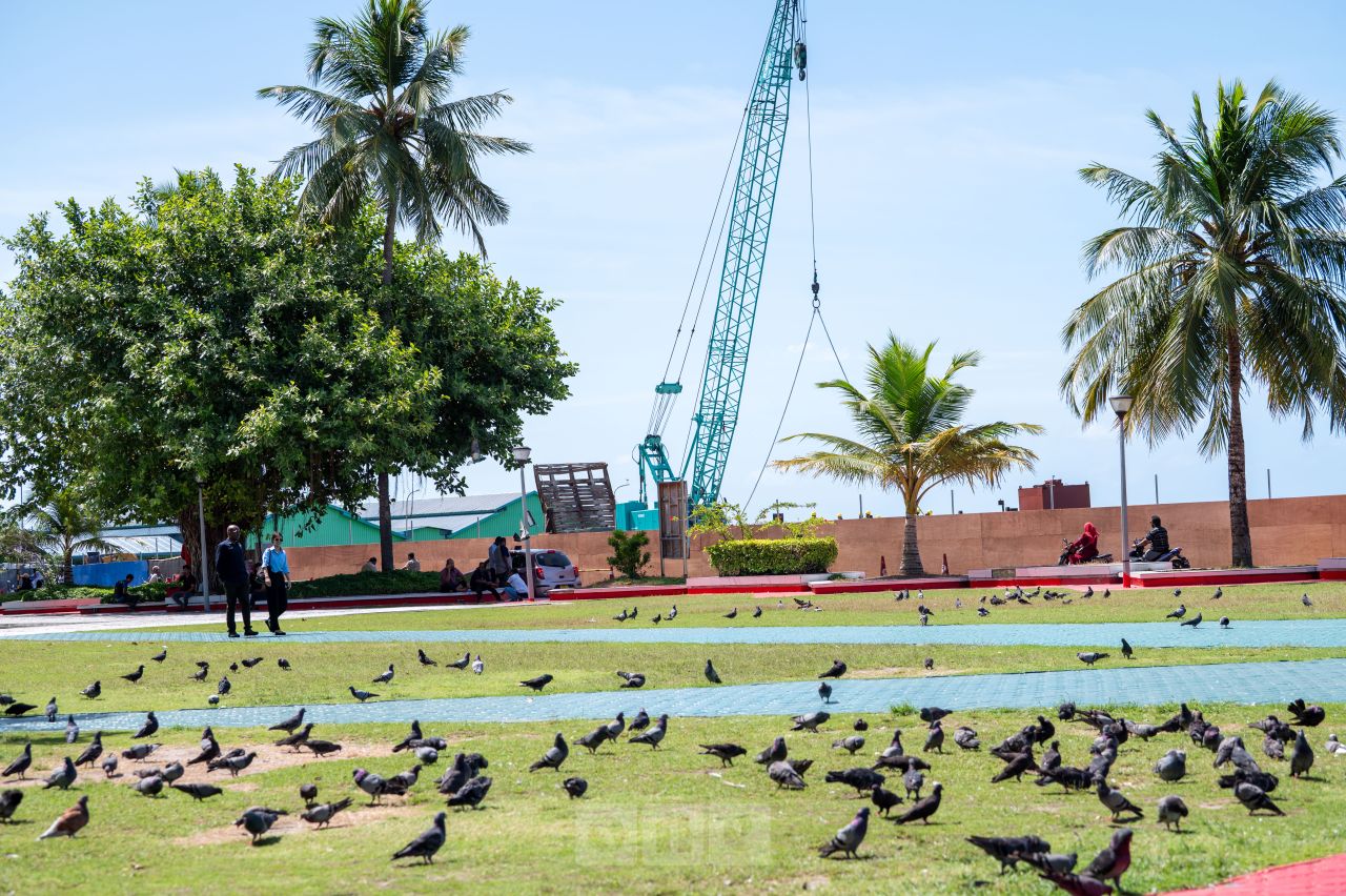 ވަން ފޮޓޯ: ބޮޑުތަކުރުފާނުމަގު ހެދުމުގެ މަސައްކަތުގެ ތެރެއިން