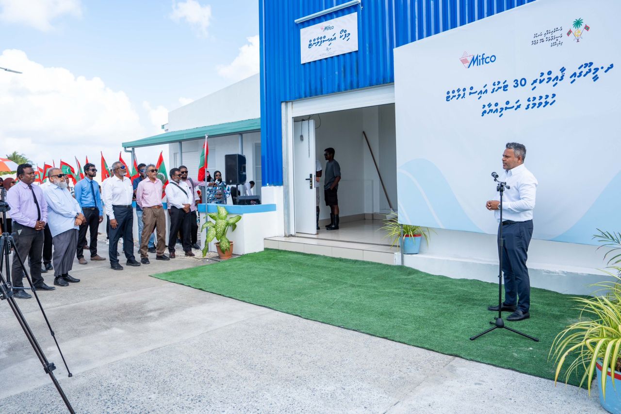 Bandidhoo adhi Meedhoo iceplant rasmeekoh hulhuvaifi