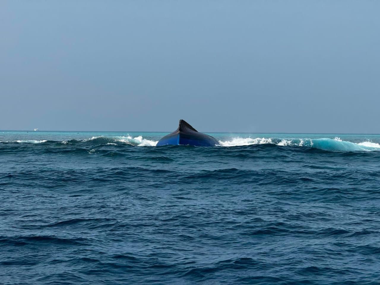 Iyye gellunu meeha adhives nufeney: MNDF