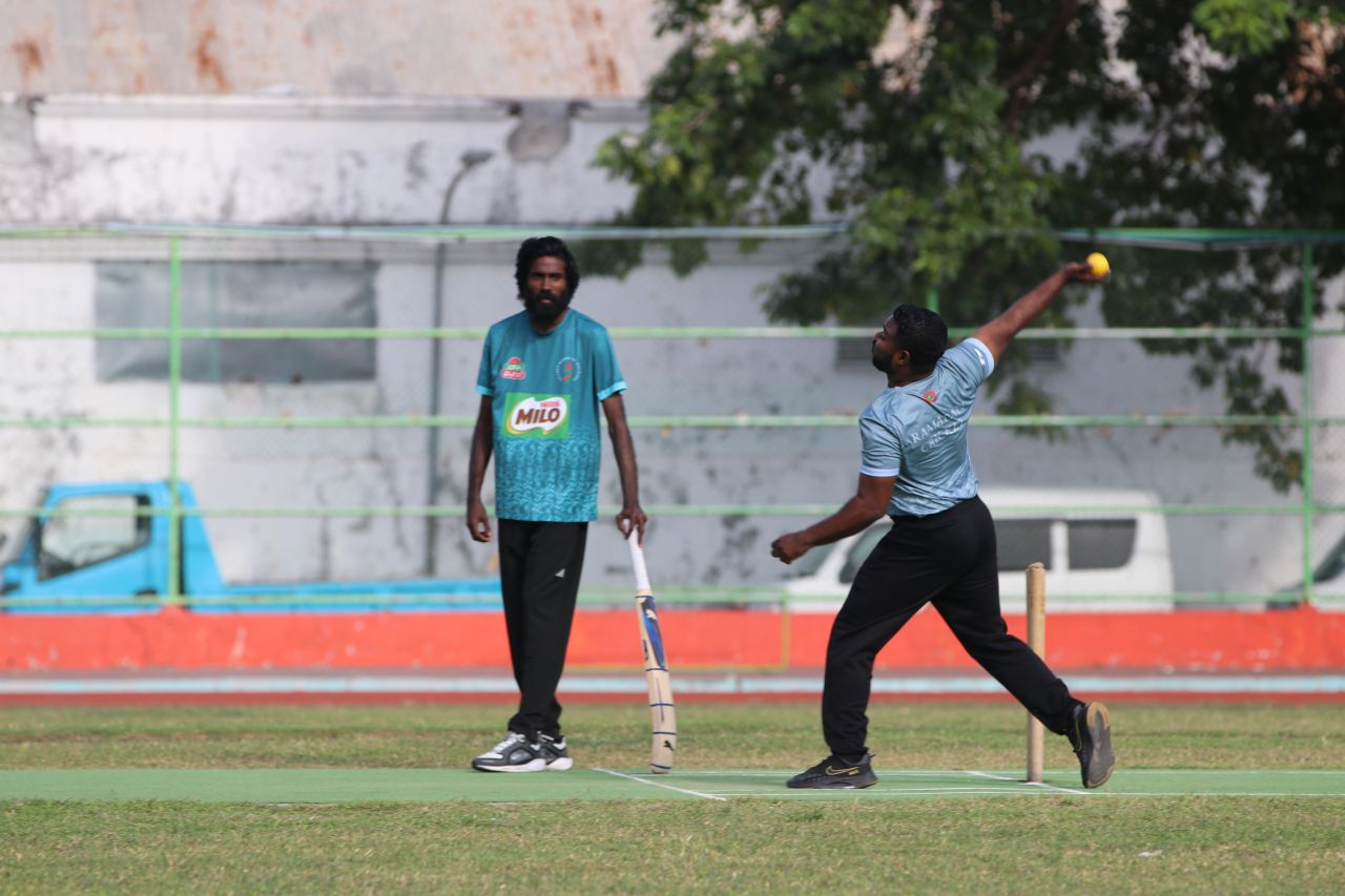 Cricket carnival: TFT aai Avia ge feshunves rangalhu 