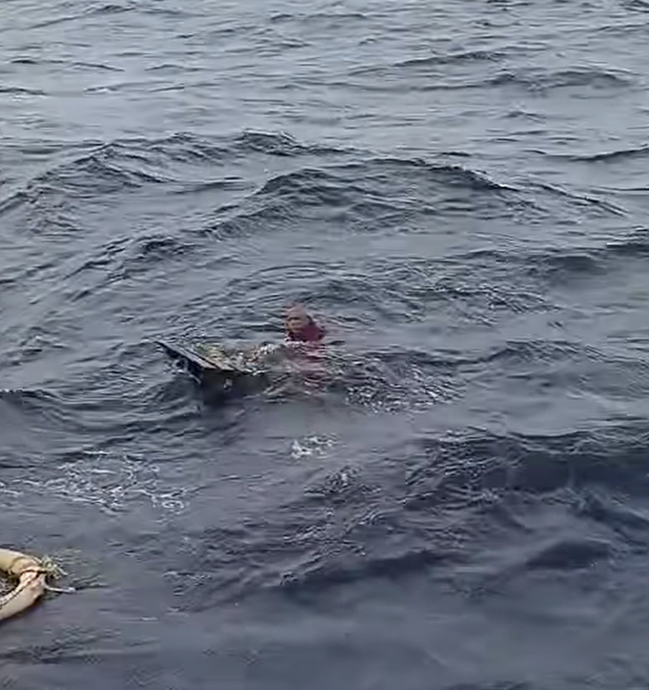 Udhares boat in gellunu meehaa fenijje