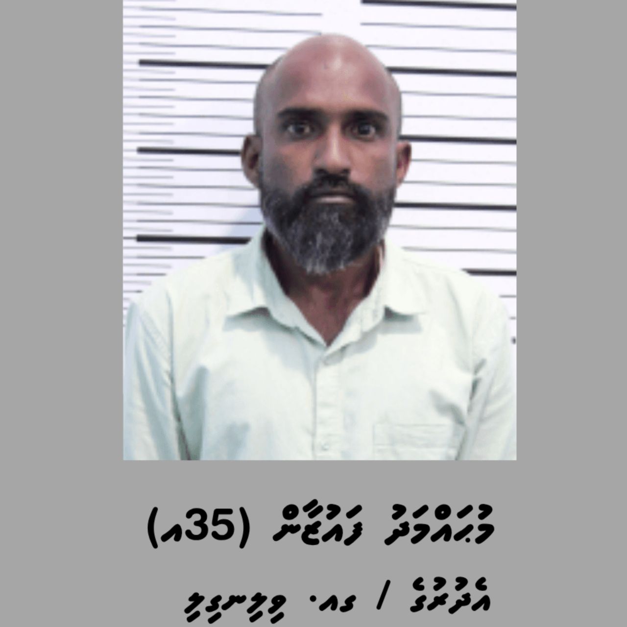 Kilo akavvure gina drug aaeku hayyarukuri Fuzaange bandhah 15 dhuvas