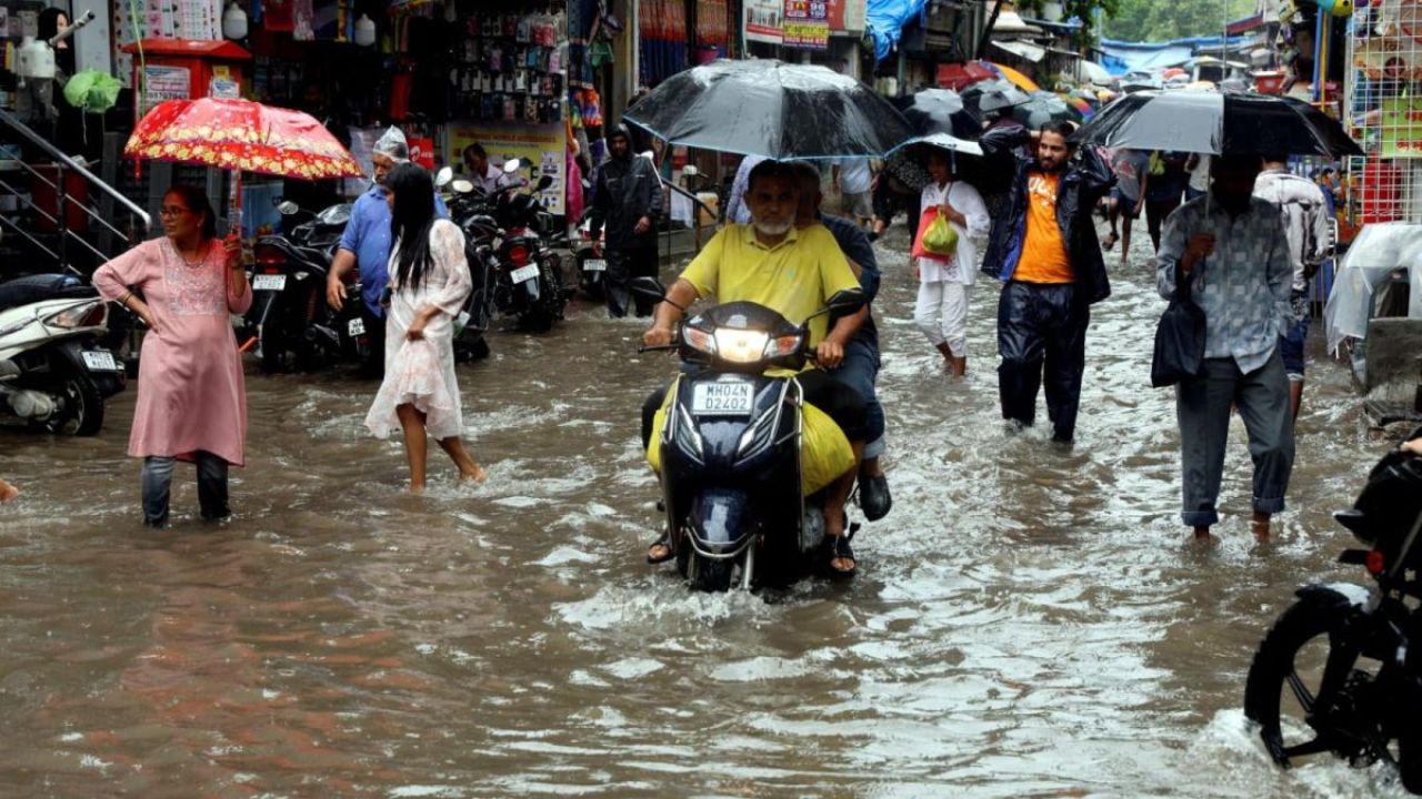 Gadha vihssaara: Mumbai aai Pune ge school thah bandhukohffi