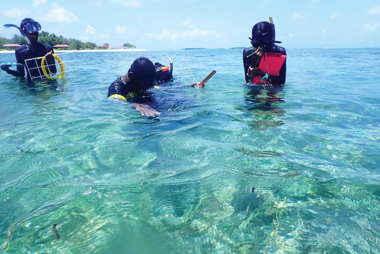 Fisheries dhaairaain masters adhi degreege 12 furusathakah hulhuvaalaifi