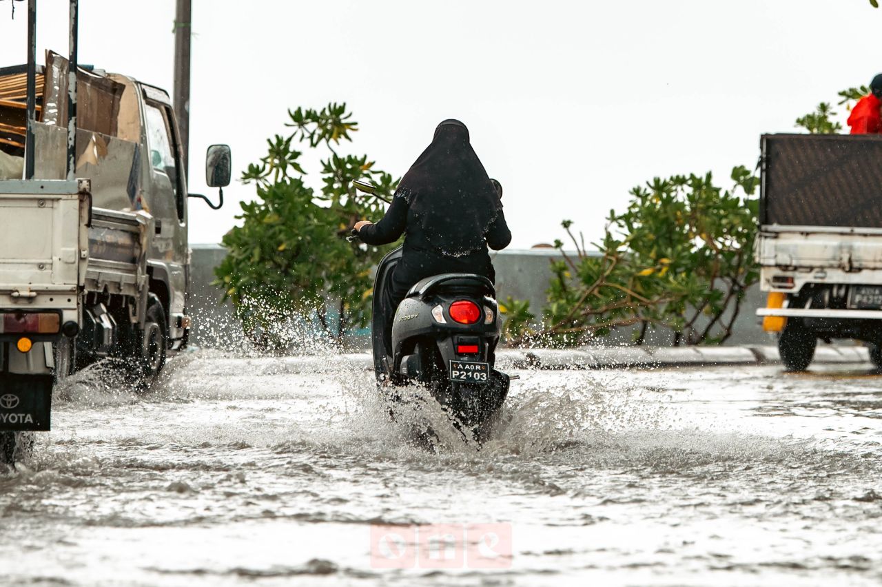 ވަން ފޮޓޯ: ހުޅަނގު މޫސުމުގައި ރާއްޖެއަށް ކުރަމުންދާ ވިއްސާރަ