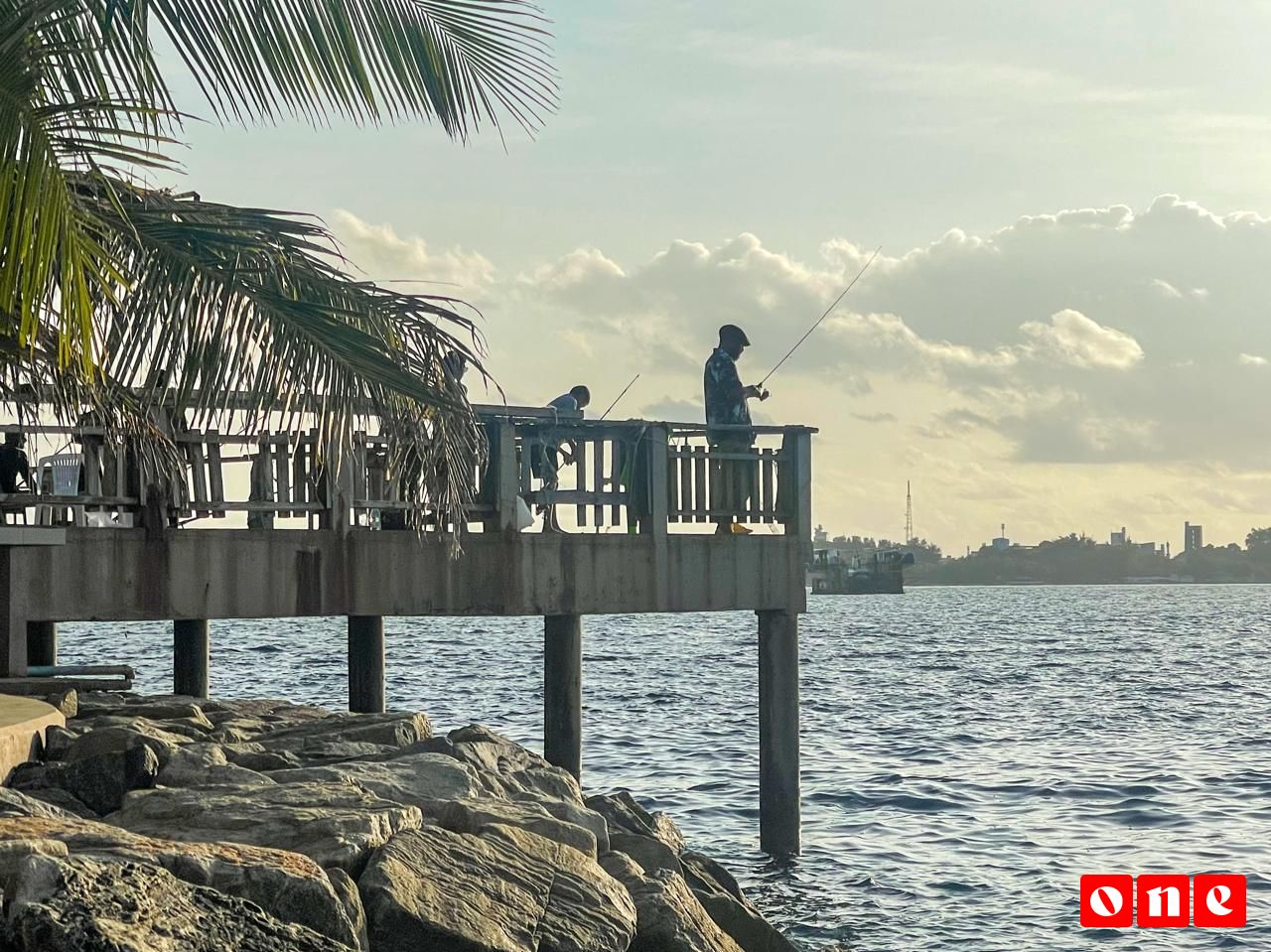 MTCC seeks public views on West Park Fishing Platform
