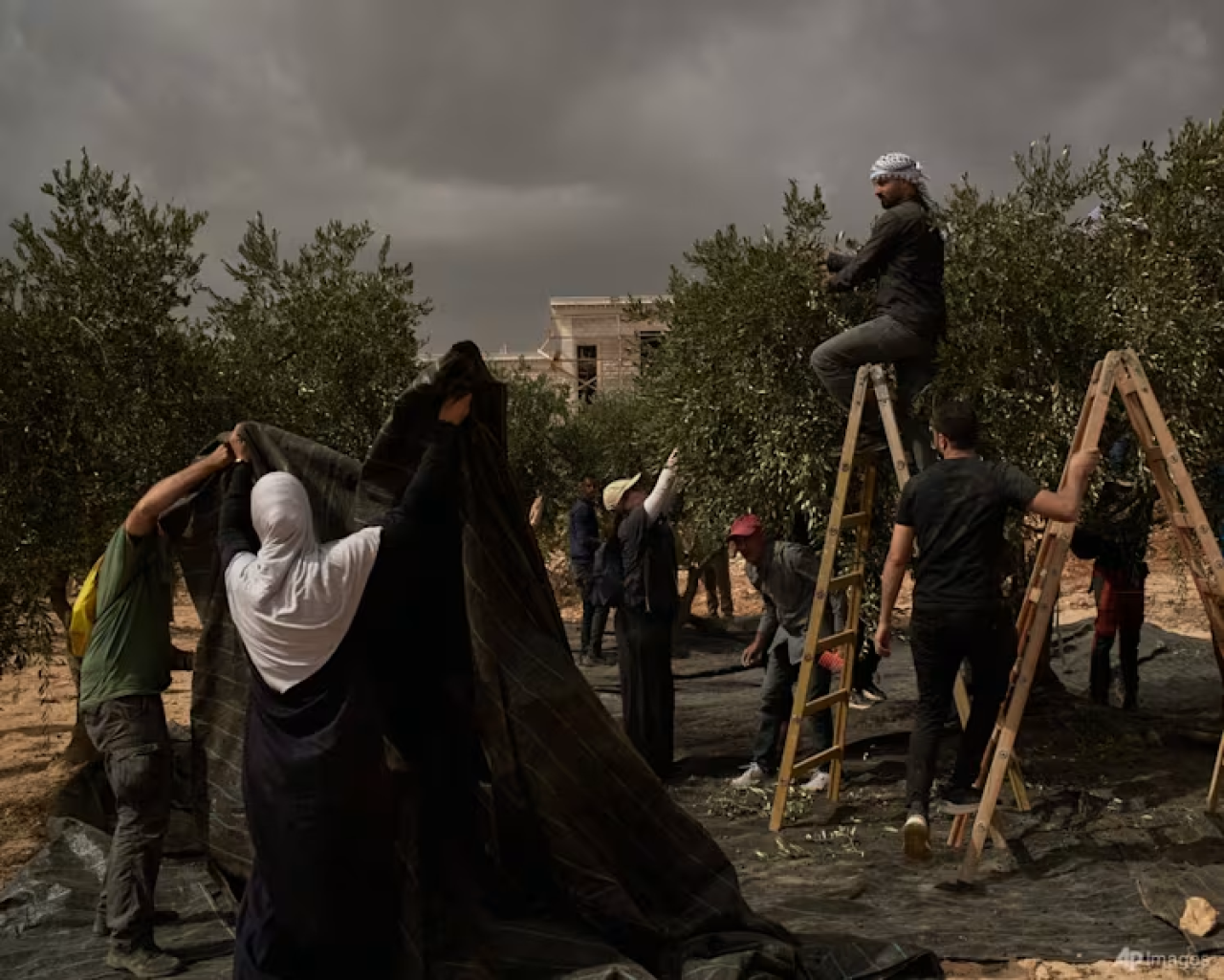 Israeli settlers attack European diplomats, beat French mayor