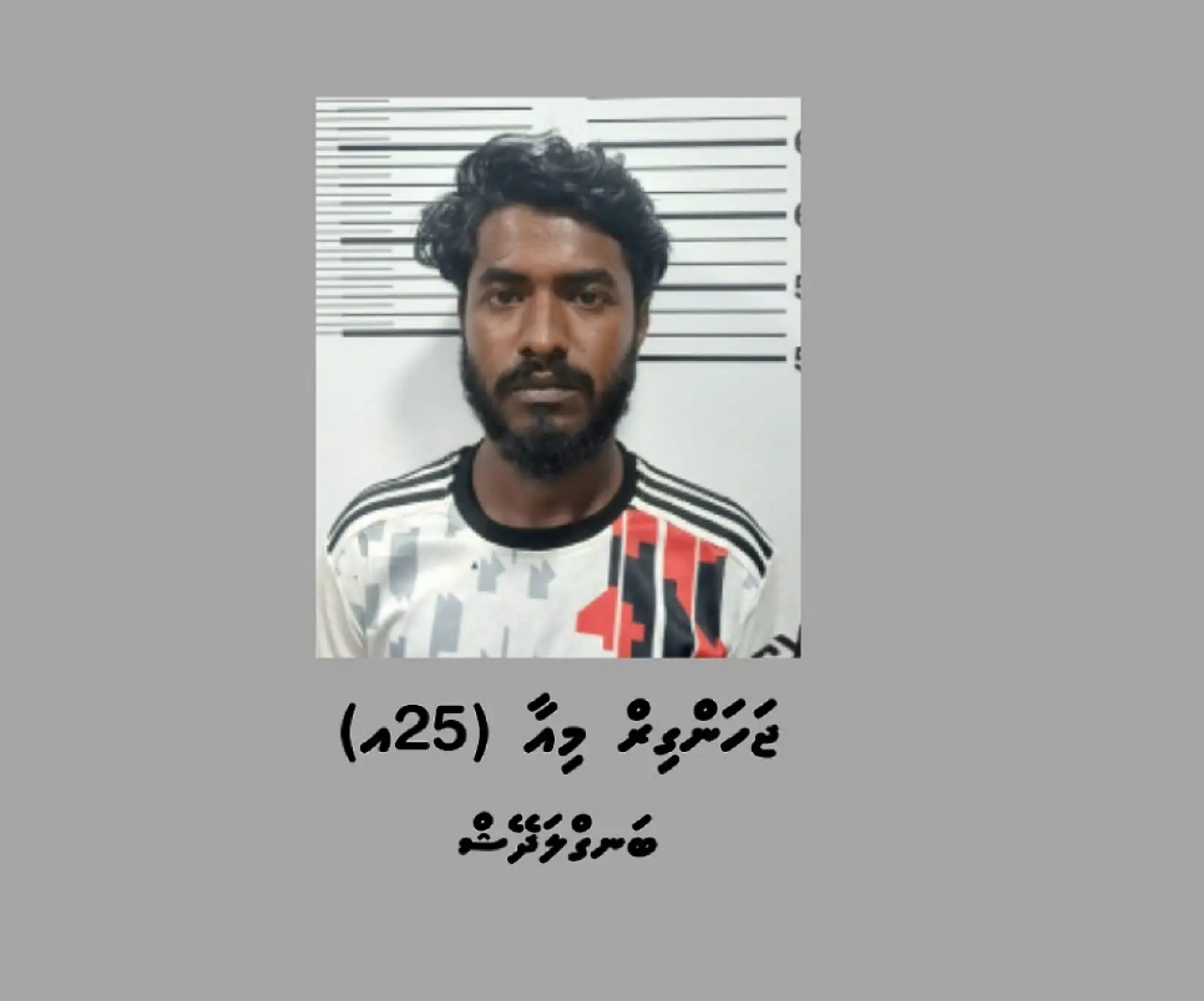 Fihaaraehgai inn anhenakah valhin hamalaadhin meehaa 20 aharah jail ah 