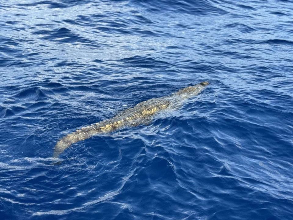 Resort kairin fenunu kinboo MNDF in hifaifi