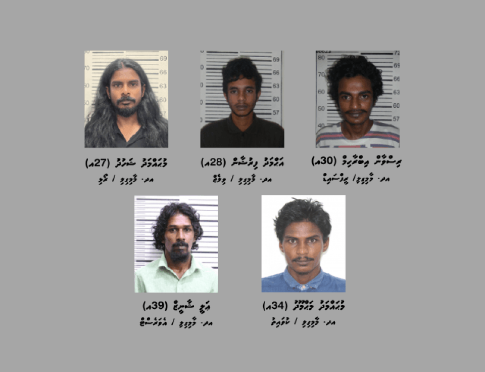Masthuvaathakehchaa eku Maamigilin 5 meehaku hayyaru kohfi