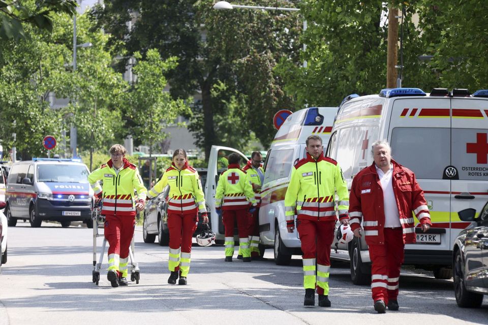 Austria ge high school eh gai badin hamalaadhee 11 meehun maraalaifi