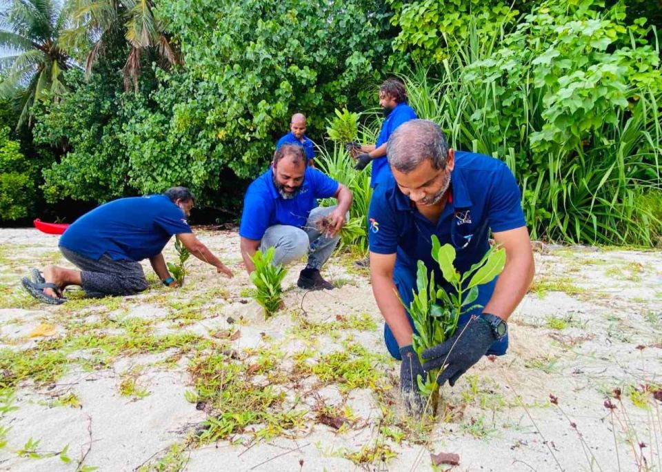 STELCO inn konme hafthaaehge bandhugai gass indhanee 