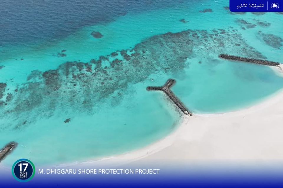 Dhiggaru ge alah hikkaa sarahahdhuge gondudhoh himaayaiy kurumuge 72 percent ninmaifi 