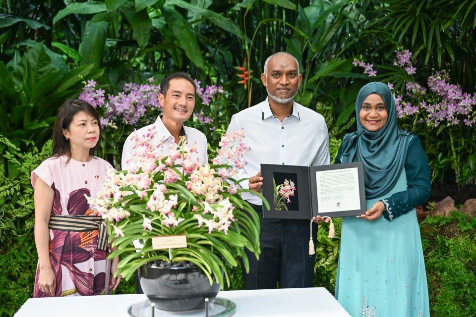 Singapore ge Orchid malakah Raees Muizz ge dhekanbalunge namun nan dheefi 