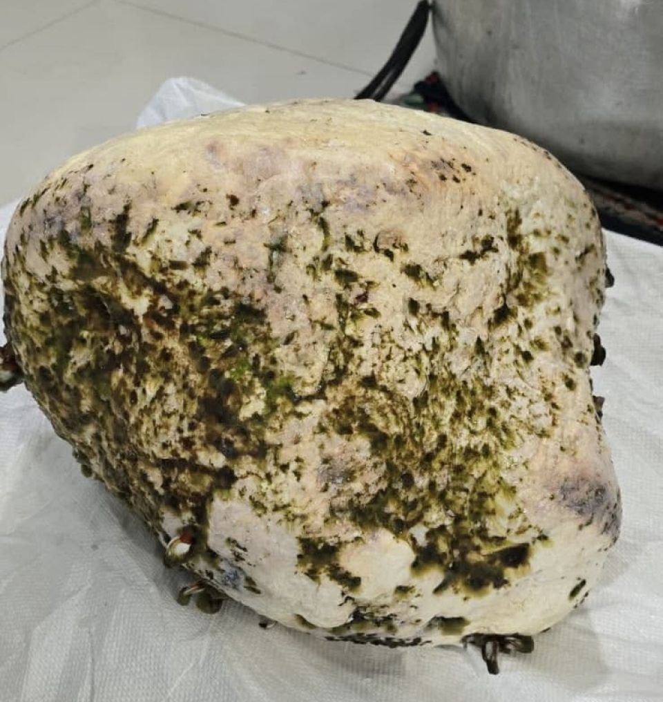 Ukulhahun in maha dhiya bayakah 15 kilo ge maavaharei fenijje