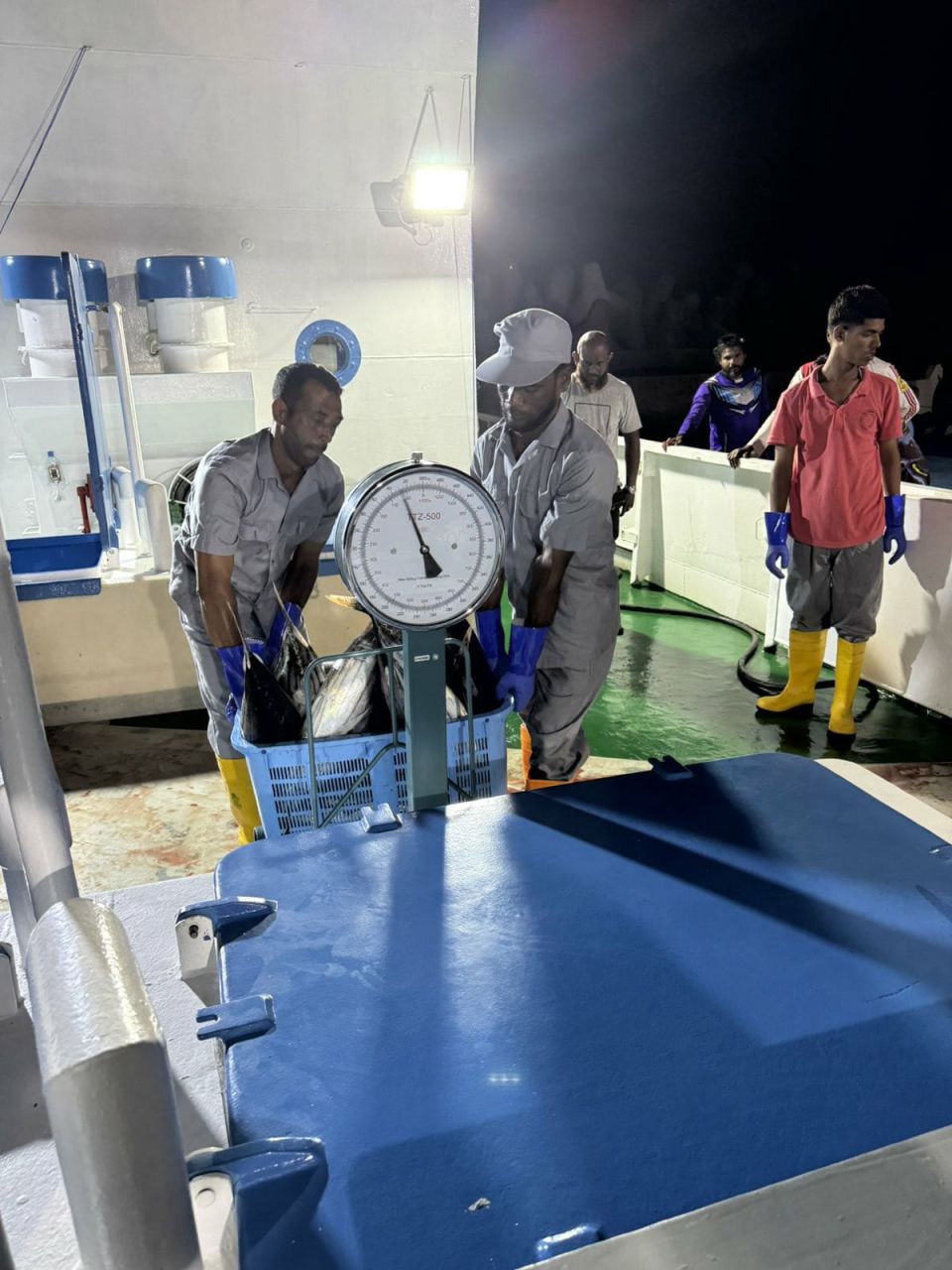 MIFCO in mas ganna agu 20 rufiyaa ah bodu kohfi