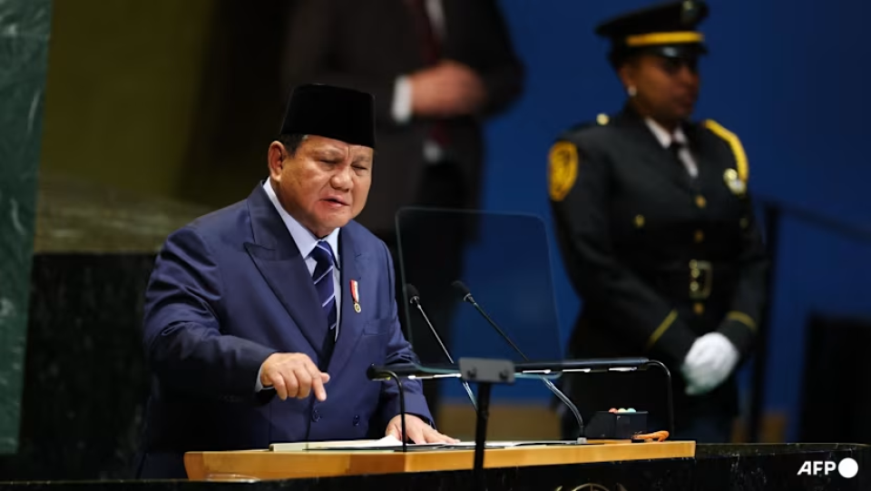Indonesia offers 20,000 troops for post-war Gaza