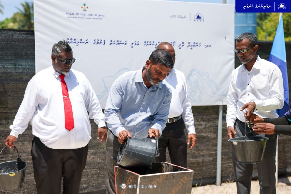 Hanyaameedhoo volley court tharaggee kurumuge masakkai fashaifi 