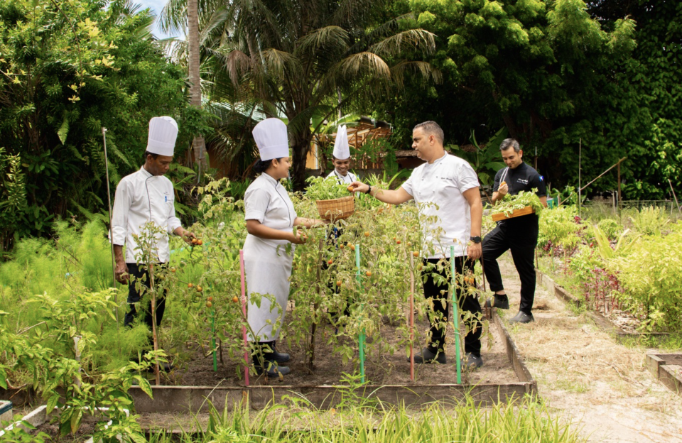 Tree Top Hospital inn Kuredu gai uramathee cancer ah heyluntherikurumuge session eh baavvaifi 