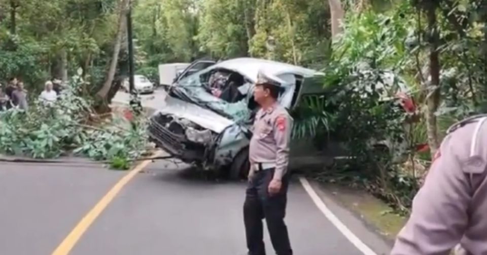 Bali gai Mini bus eh accident ve fathuruverinthakeh maruvehjje