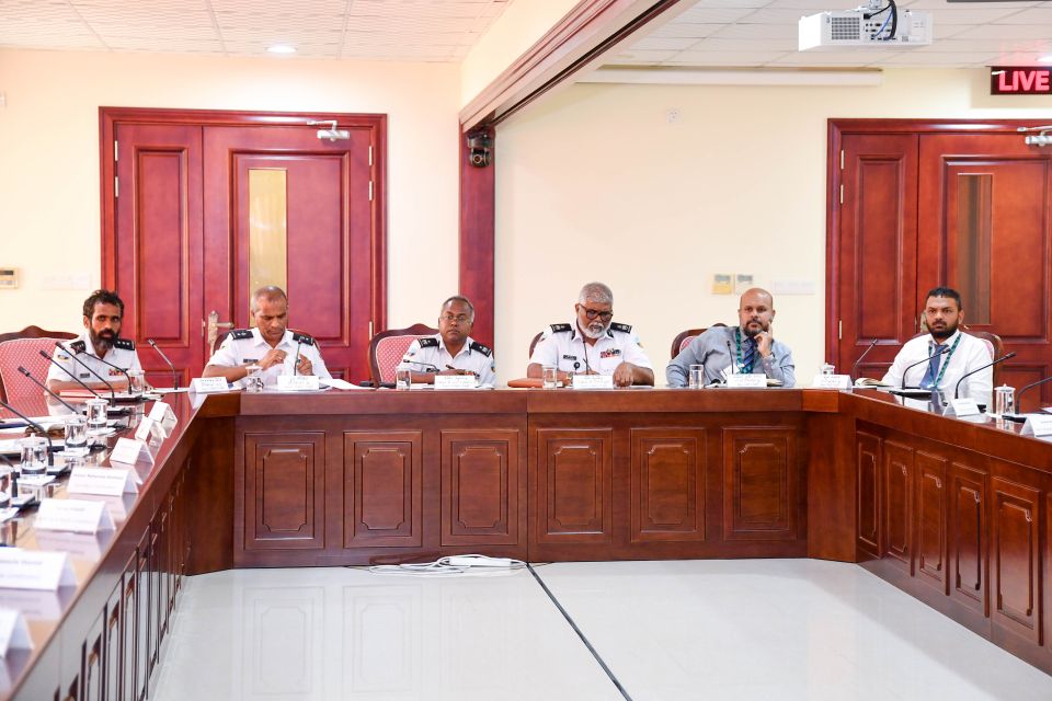 Container scanner bahattan 51 million beynunvey: Customs 