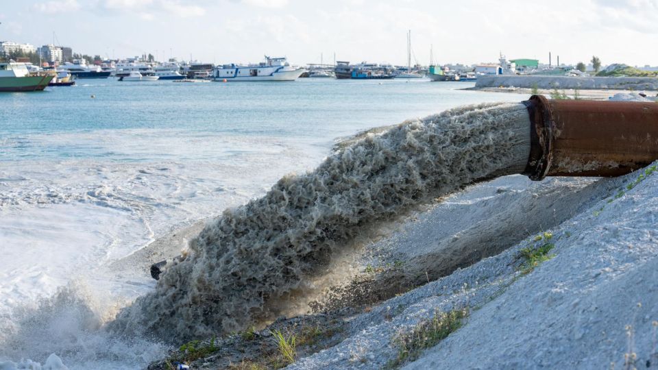 Hikkumuge mashroou thakaa gulhigen gina shakuvaa thakeh, fiyavalhu alhanee!