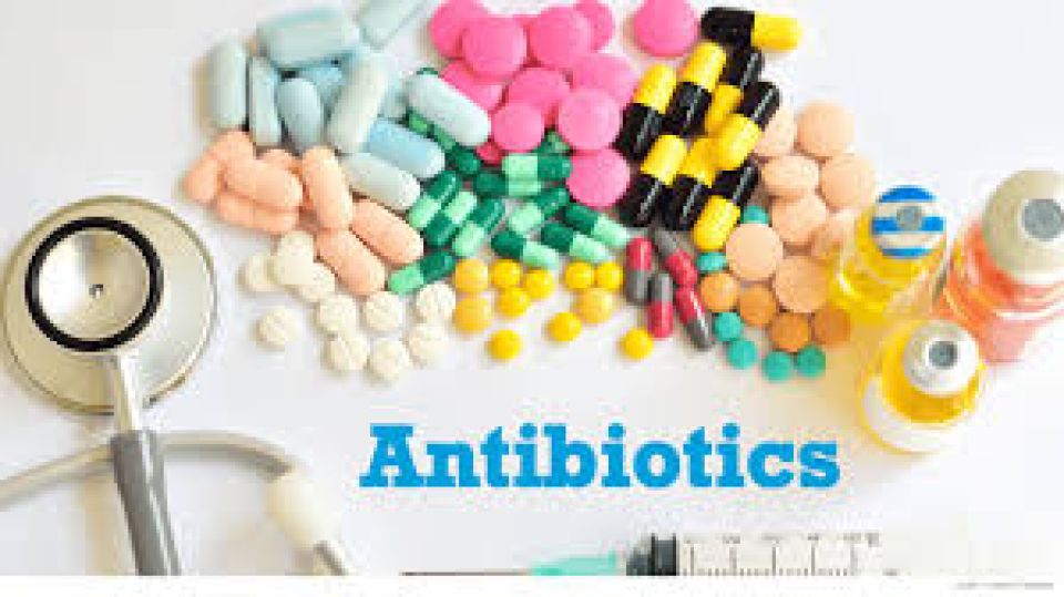 Doctorunge lafayaa nulai Antibiotics beynun nukuran HPA in ilthimaaskoffi