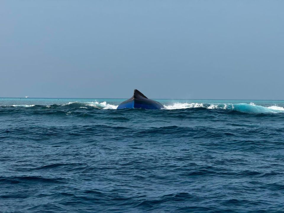 Iyye gellunu meeha adhives nufeney: MNDF