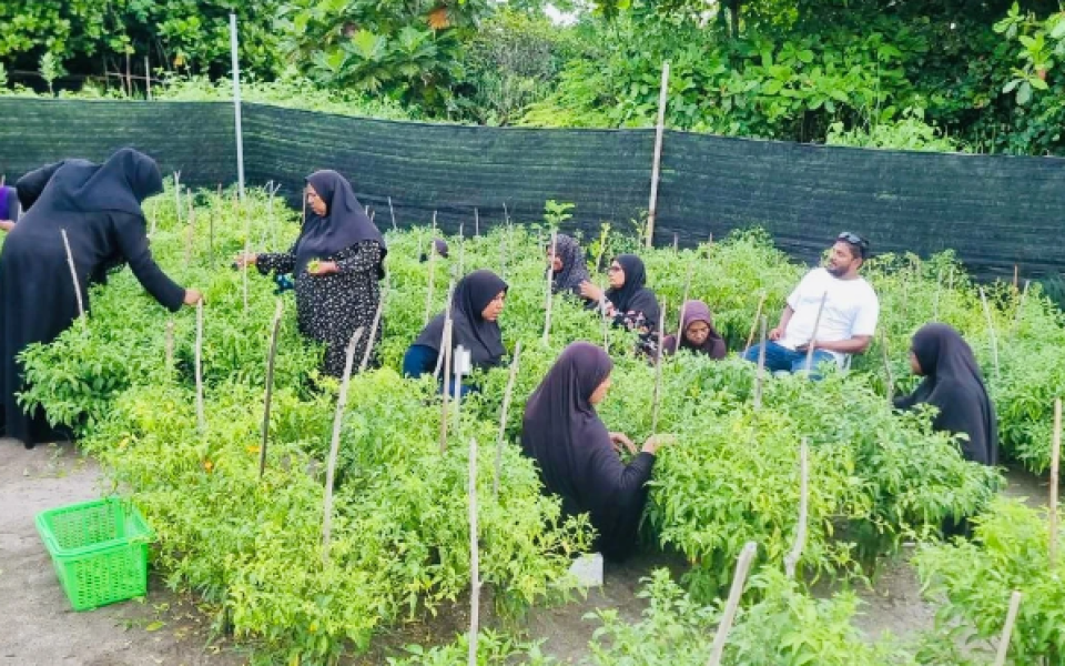 Raajjeygai kaaboathakethi ufahdhan beynunvaa faraaiythakah haassa luithakeh dhenee 