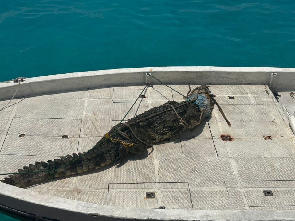 Lhaviyani atholhun 5 foot ge kinbuleh fenijje