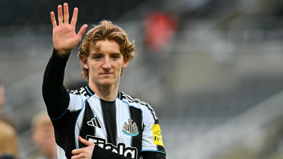 Barca in Gordon deal nimmaifi, Alvarez ahves bid kuranee 