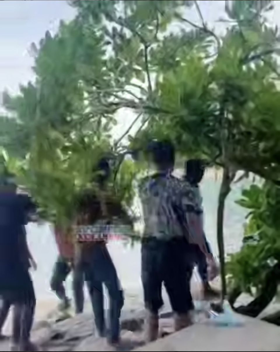 Artificial breach gai bidheyseen thakeh hamanujehun hingi massala balanee