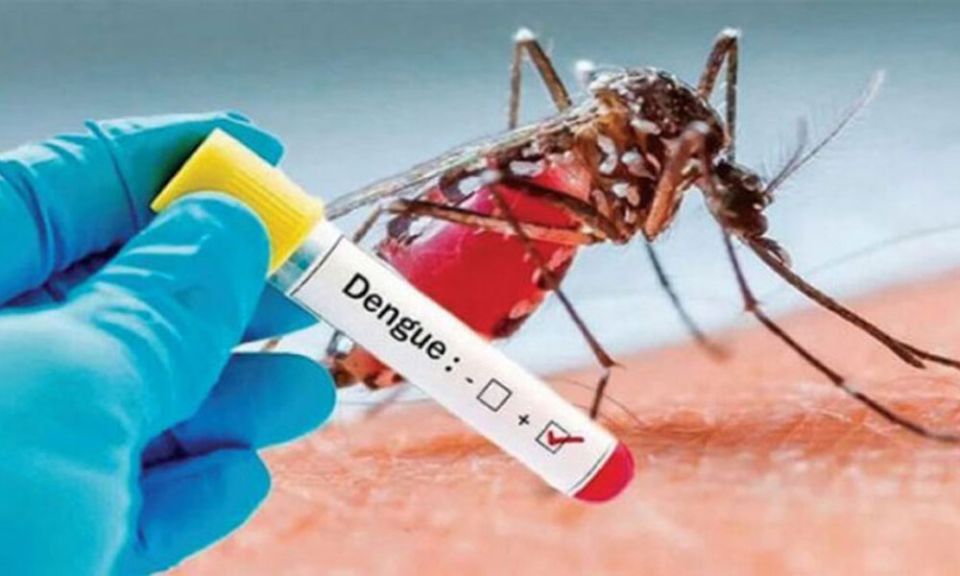 Lanka dengue ithuruvumun madhiri control kurumuge haassa campaign eh