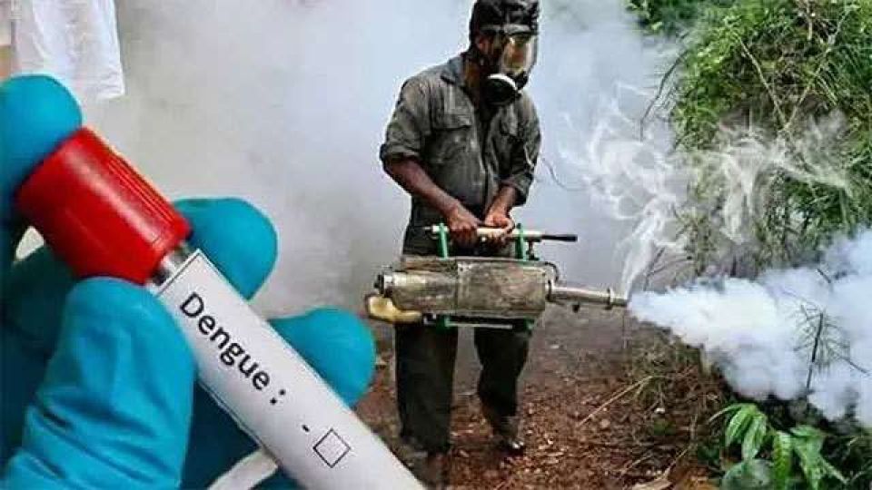 Sri Lanka gai dengue haluvikamaaeku fethureythee university thakuge kiyevun online koffi