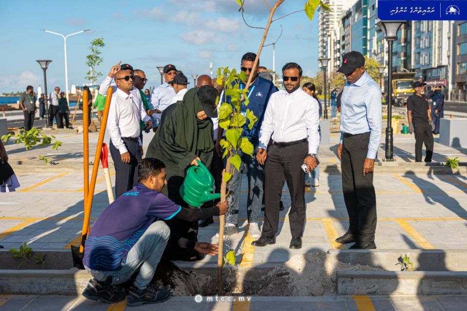 Boduthakurufaanu magugai 3,100 gas indhaifi