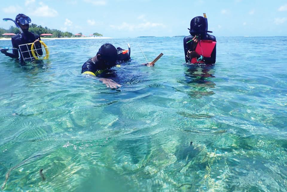 Fisheries dhaairaain masters adhi degreege 12 furusathakah hulhuvaalaifi