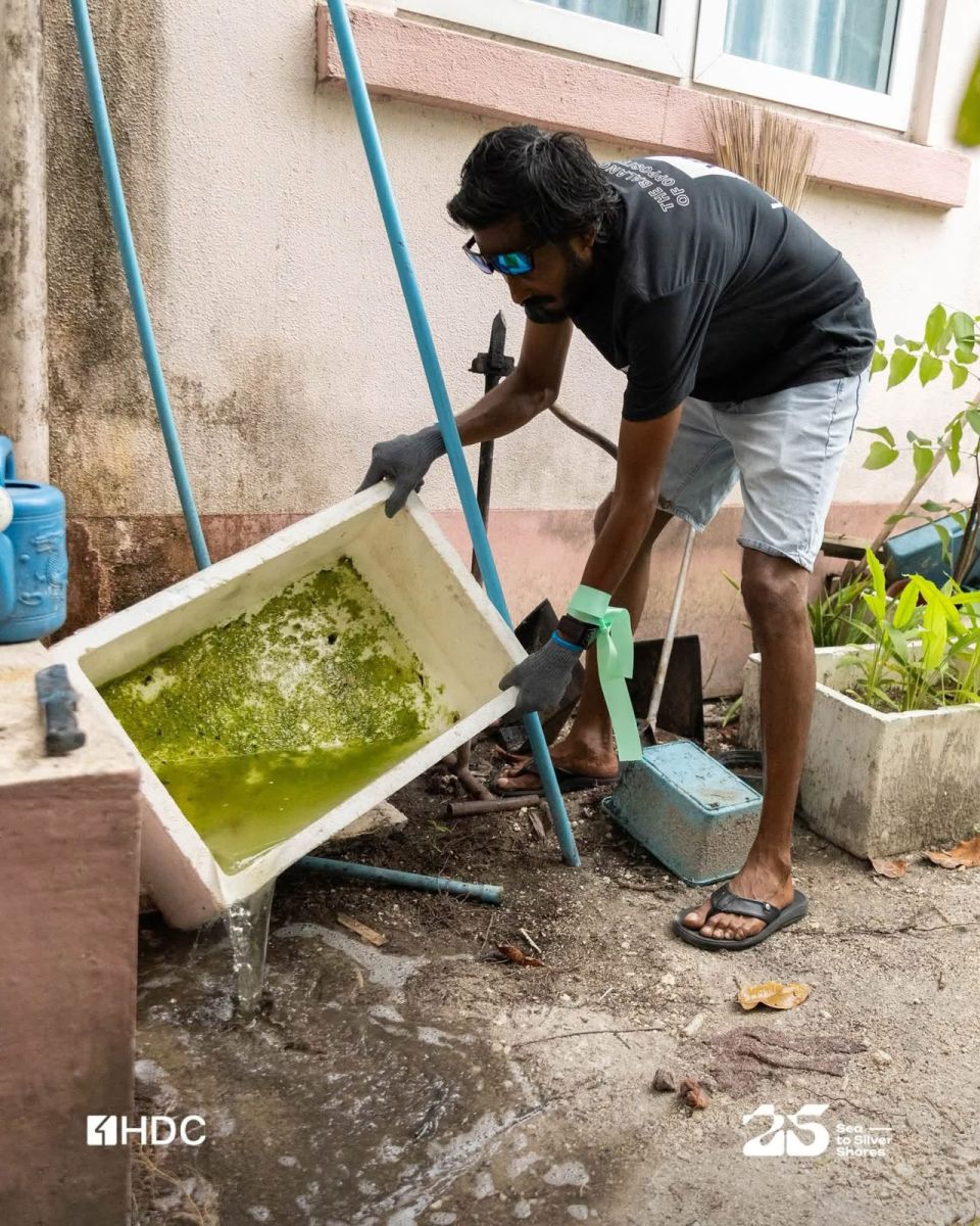 Madhiri ufedhey 300 ahvvure gina thanthan HDC in nathaalaifi