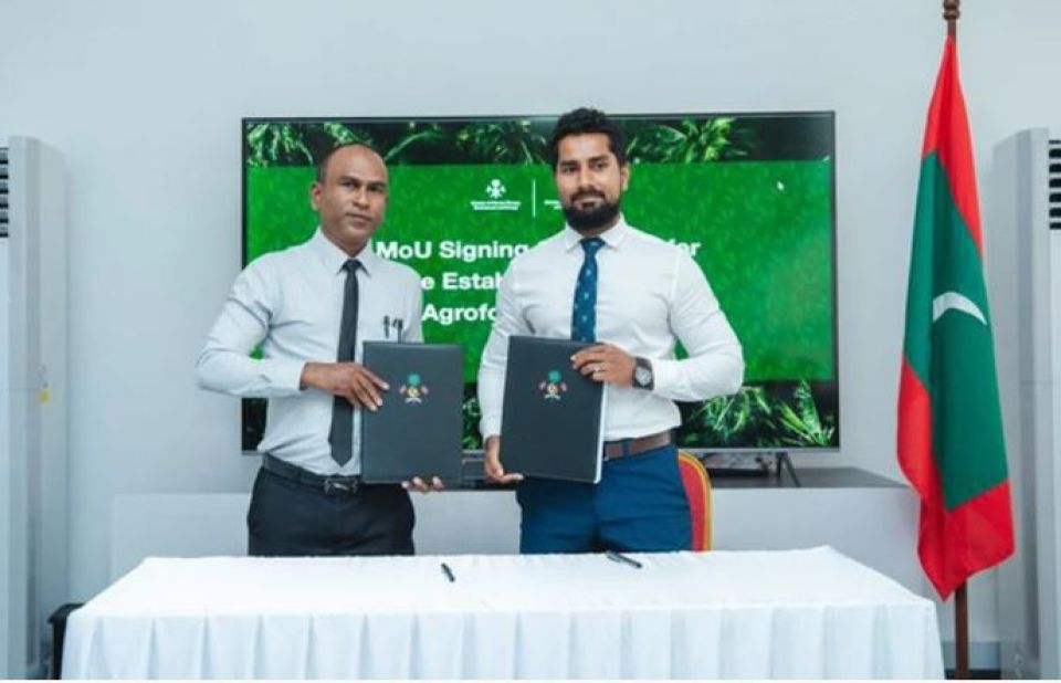 Raajjeyge 10 rasheh gai Agrofrosting dhanduthakei gaaimkuranee