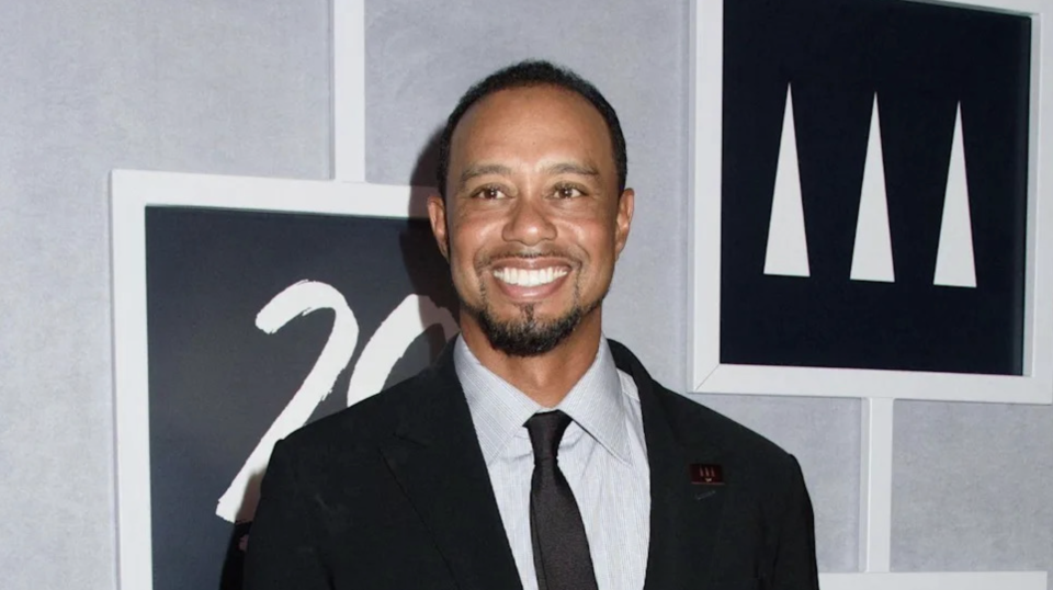 Masthuge haalathugai car dhuvvumun Tiger Woods ge license 5 aharah hifahattaifi 