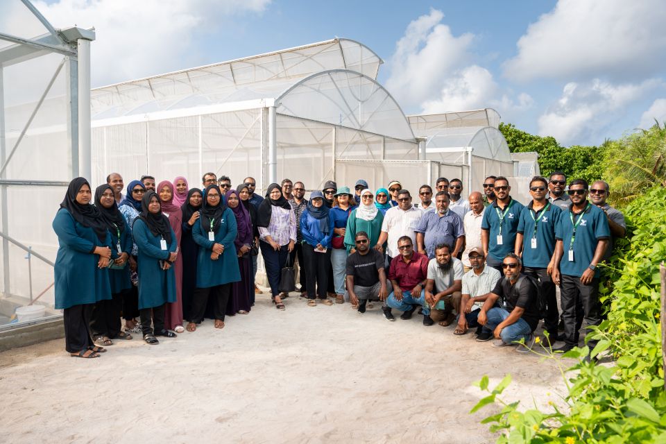 Dhanduveri manfaa grant ah edhumuge furusathu maadhamaa hamavaane